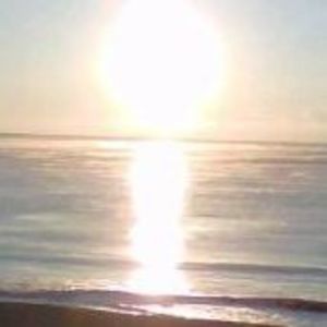 Meet your Posher, Rhonda